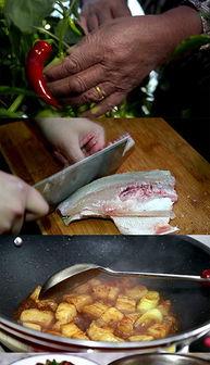 娱乐吃瓜酱美食素材视频