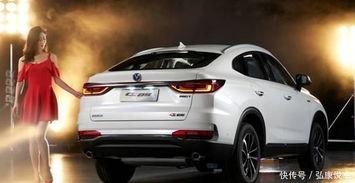 国产1级,引领科技潮流，铸就民族品牌辉煌  第3张