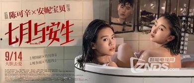 女同国产,揭秘全球女性同性恋文化的独特魅力  第3张