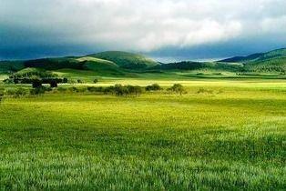 青草原国产,探寻神秘草原帝国的历史足迹  第2张