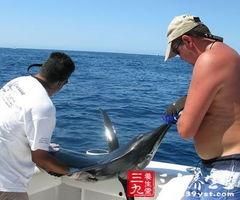 娱乐吃瓜钓鱼视频大全下载,一键下载收藏！